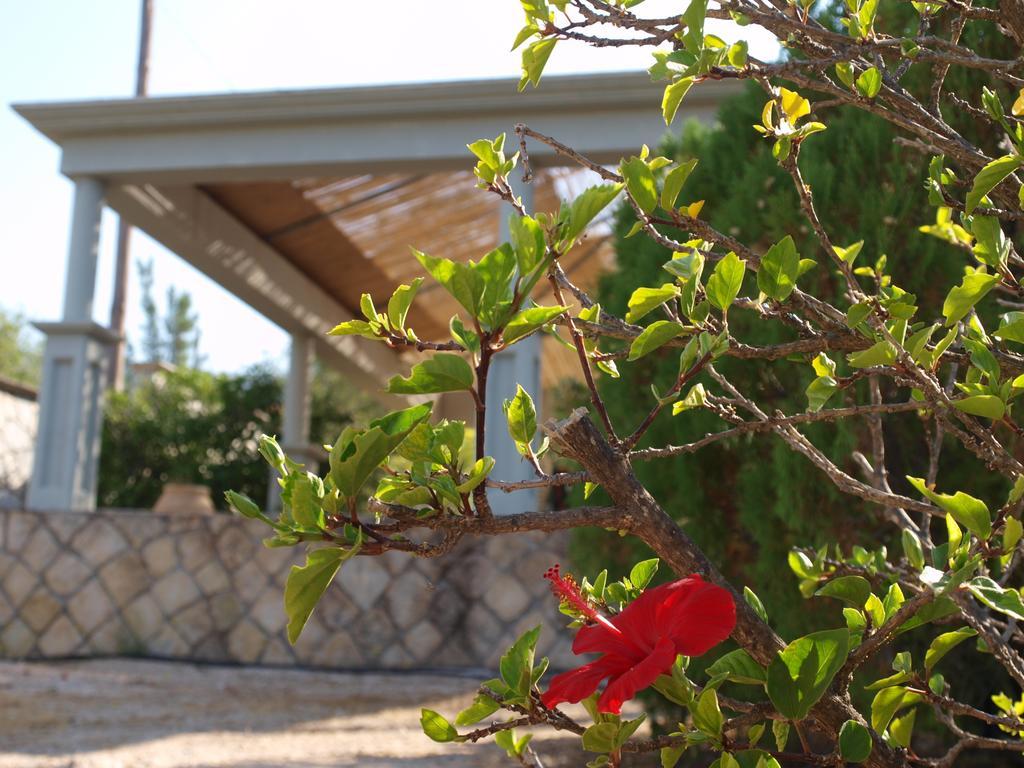 Aristotelis Apartments Razata ห้อง รูปภาพ