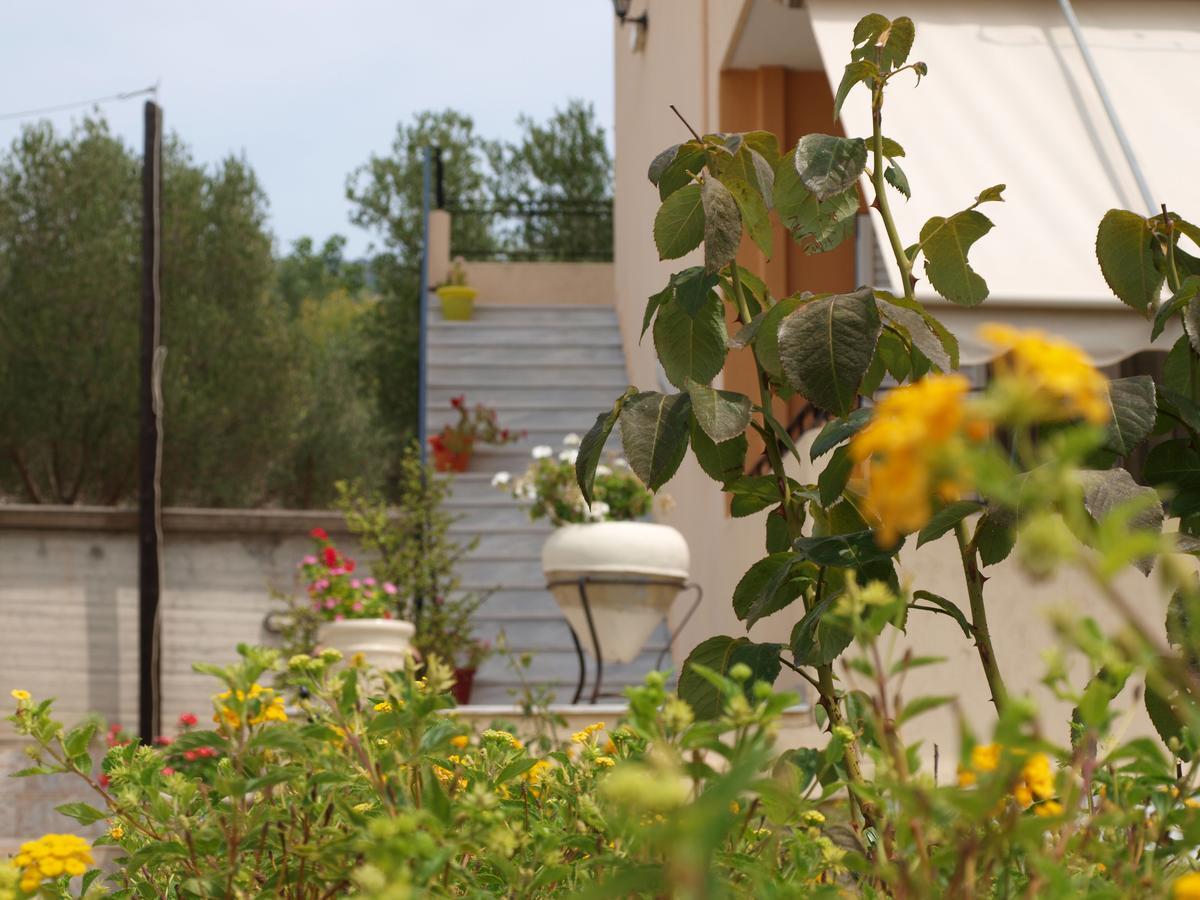 Aristotelis Apartments Razata ห้อง รูปภาพ